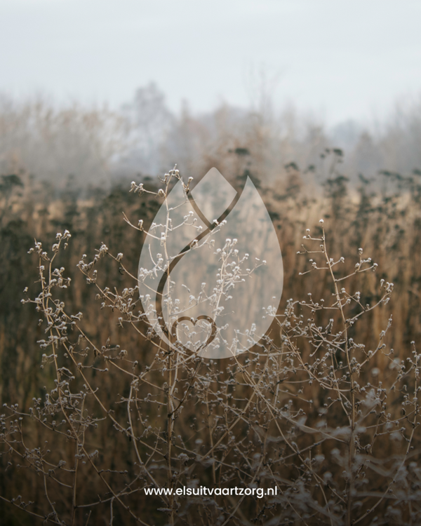 Els Uitvaartzorg Verzorgt Laatstewensgesprekken
