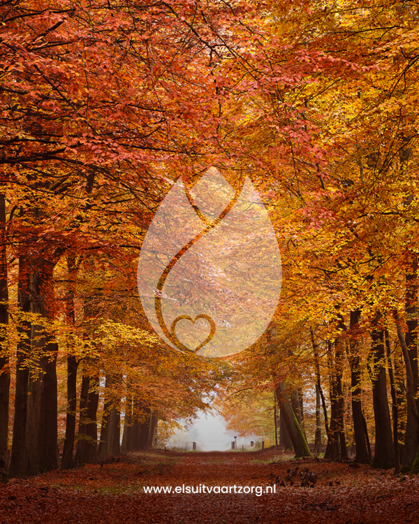 Afscheid In De Natuur